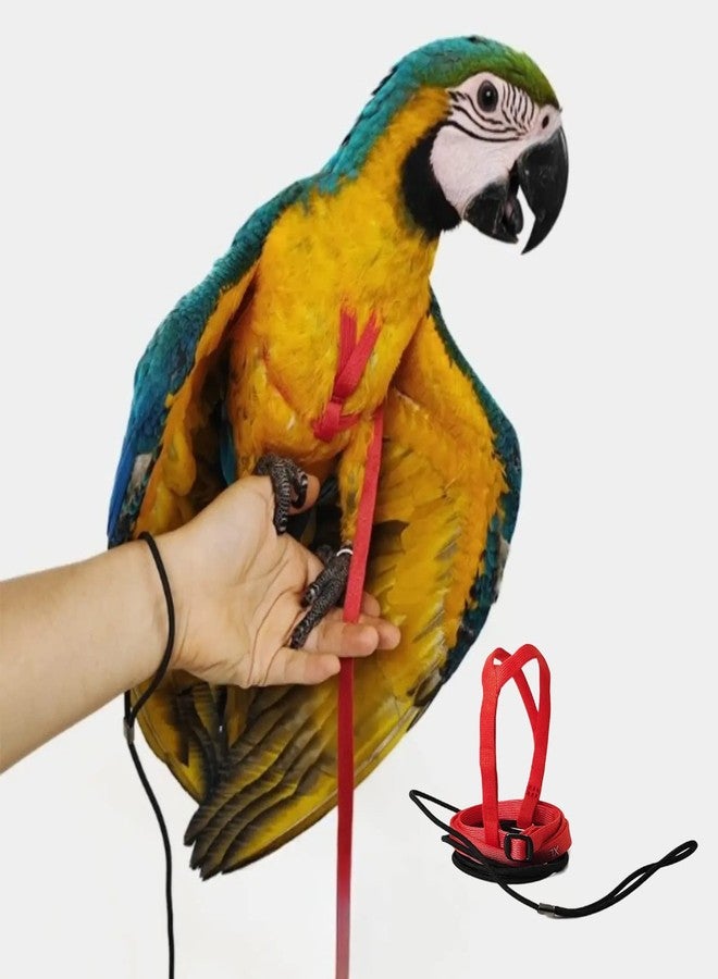 Barn Eleven Adjustable Bird Harness with 78.7 Inch Leash, Outdoor Flying Training Rope Kit for Bird Parrots, Parrot Flying Rope Straps Outdoor Training Traction Rope for Small Medium Large Size Birds (XL) - Image 1